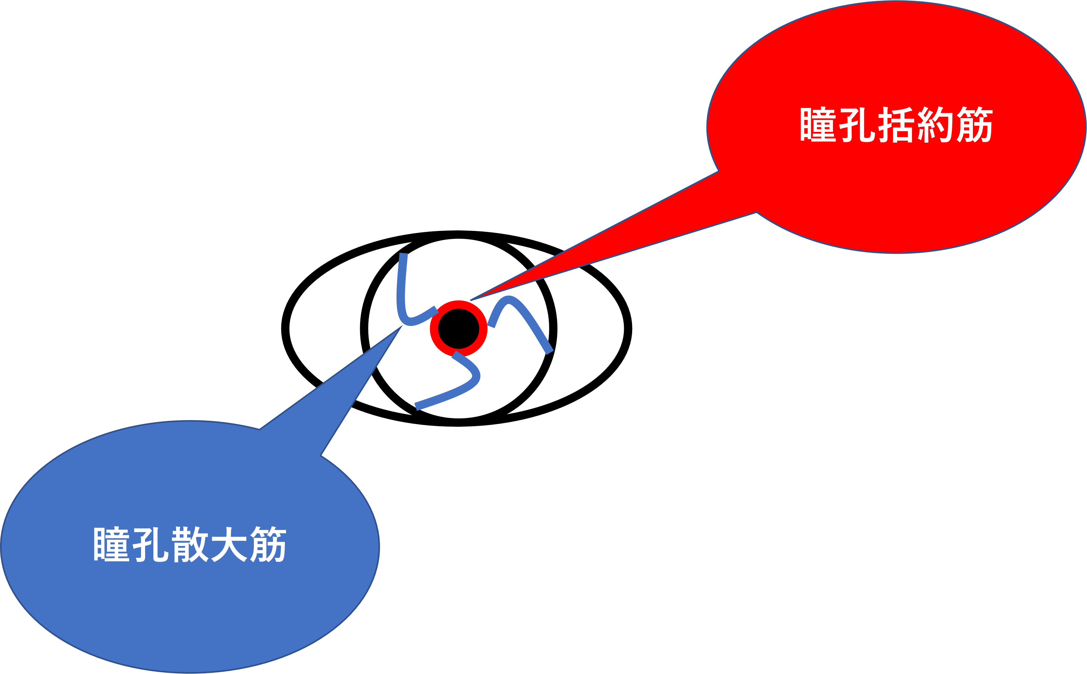 散大した目の管理
