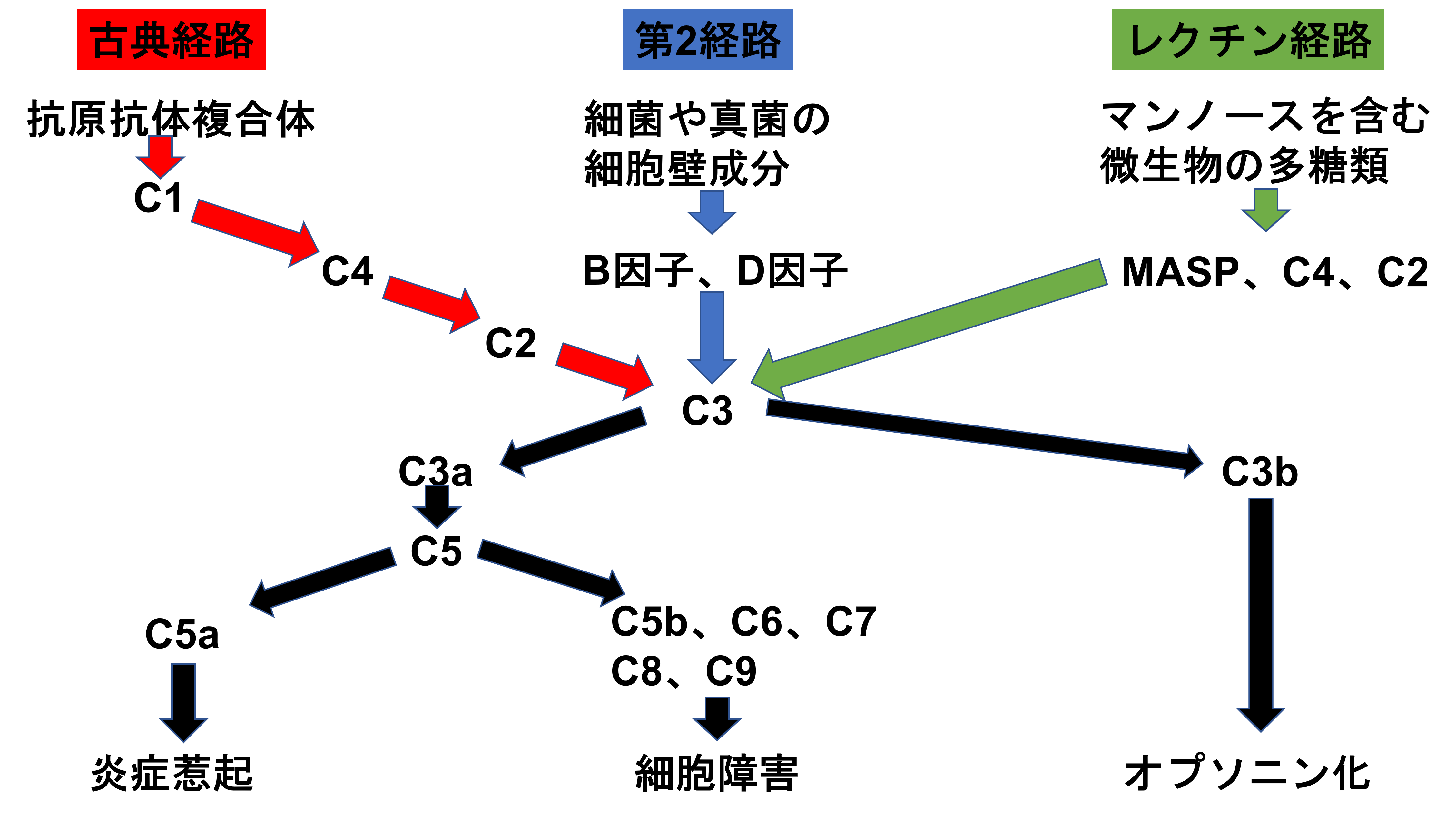 結果は何を意味しますか?
